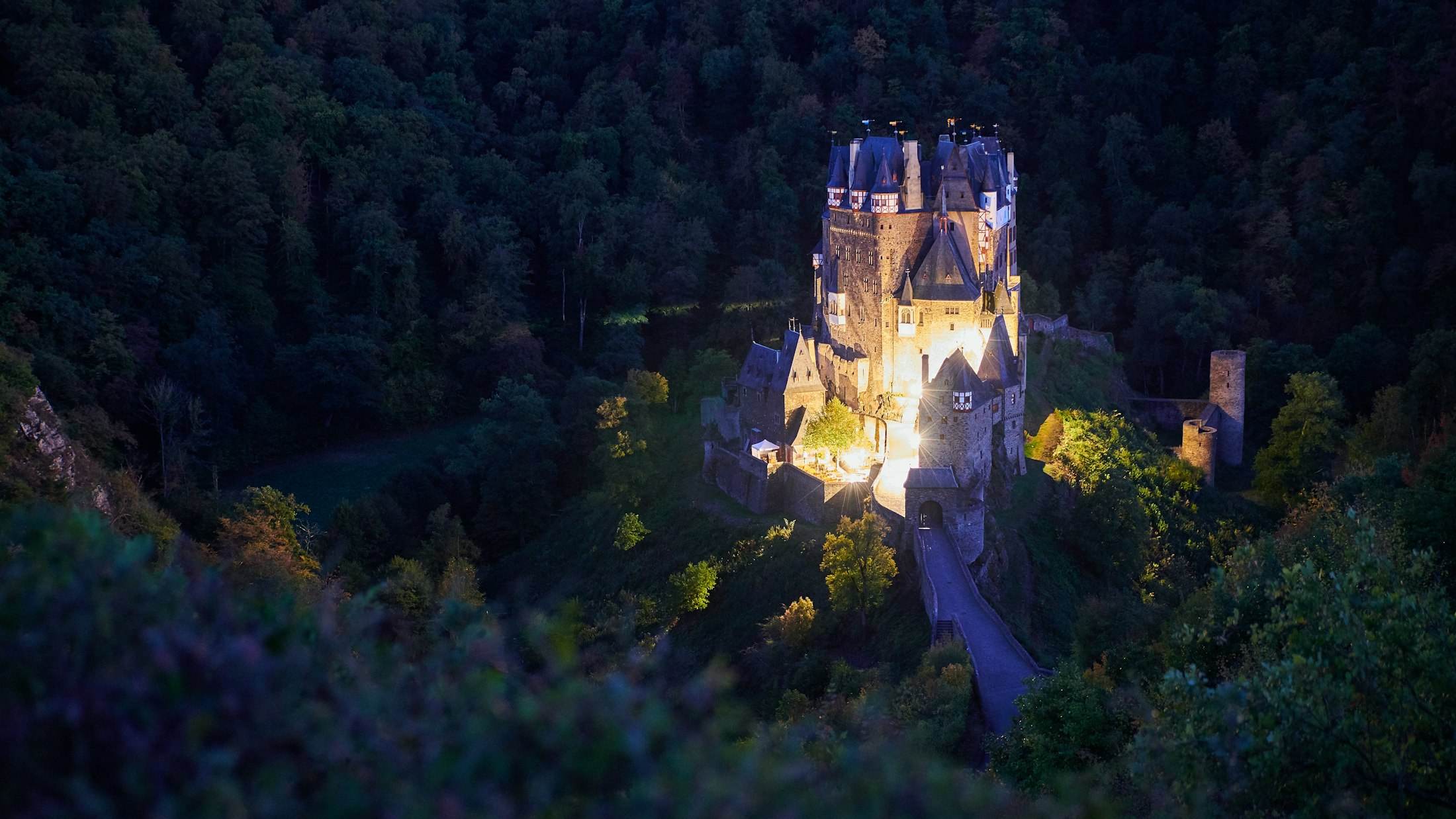 A castle lit up at night in the middle of a dark forest