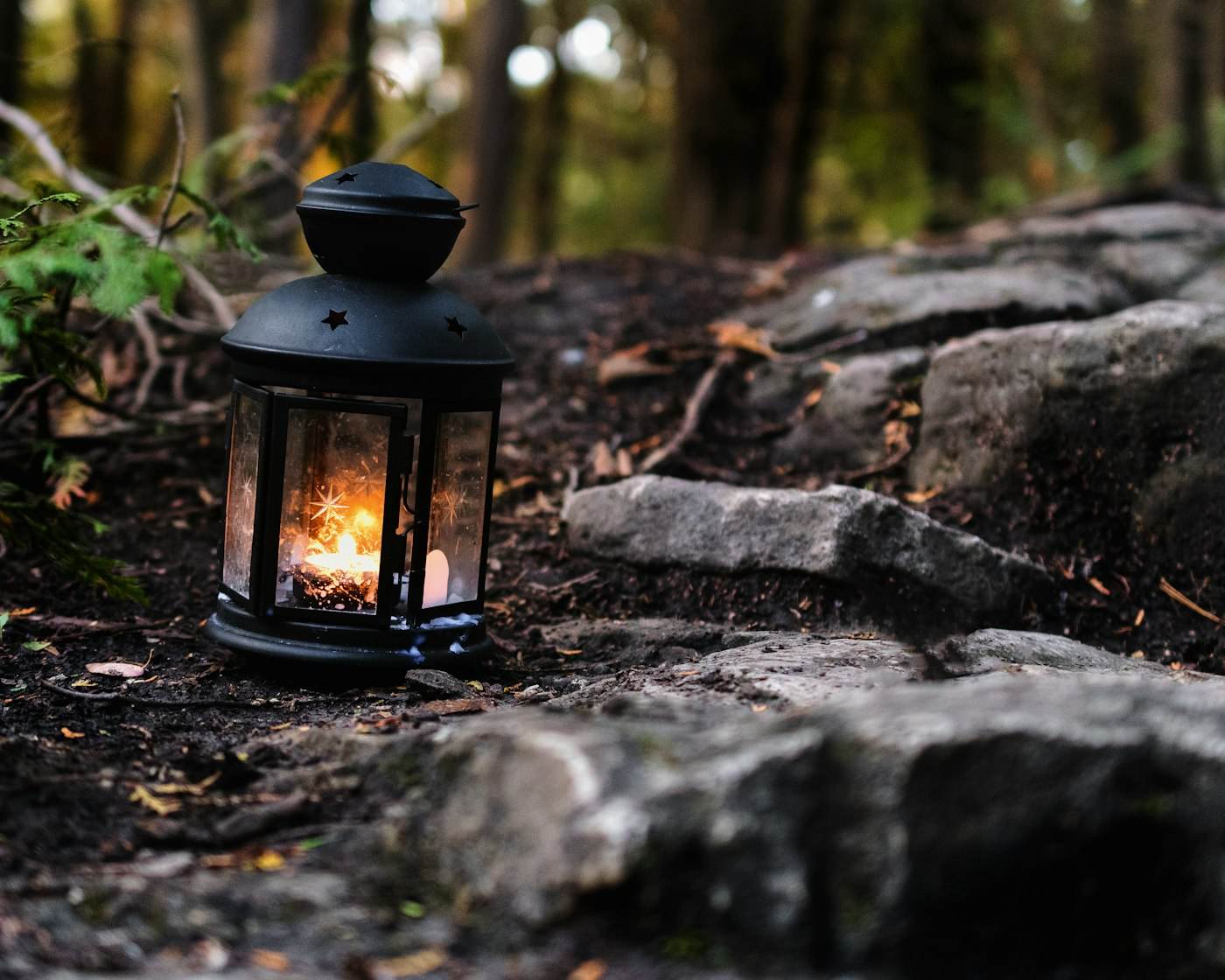 An old lantern glowing on the ground in a dark wood